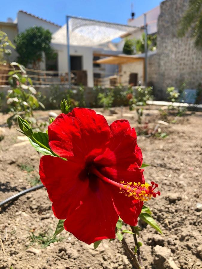 Pigi  Naiades Residence מראה חיצוני תמונה